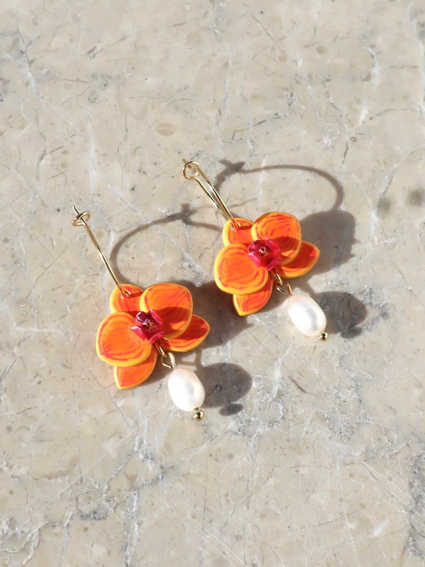 Asian Sun Phalaenopsis Dangles (pre-order)