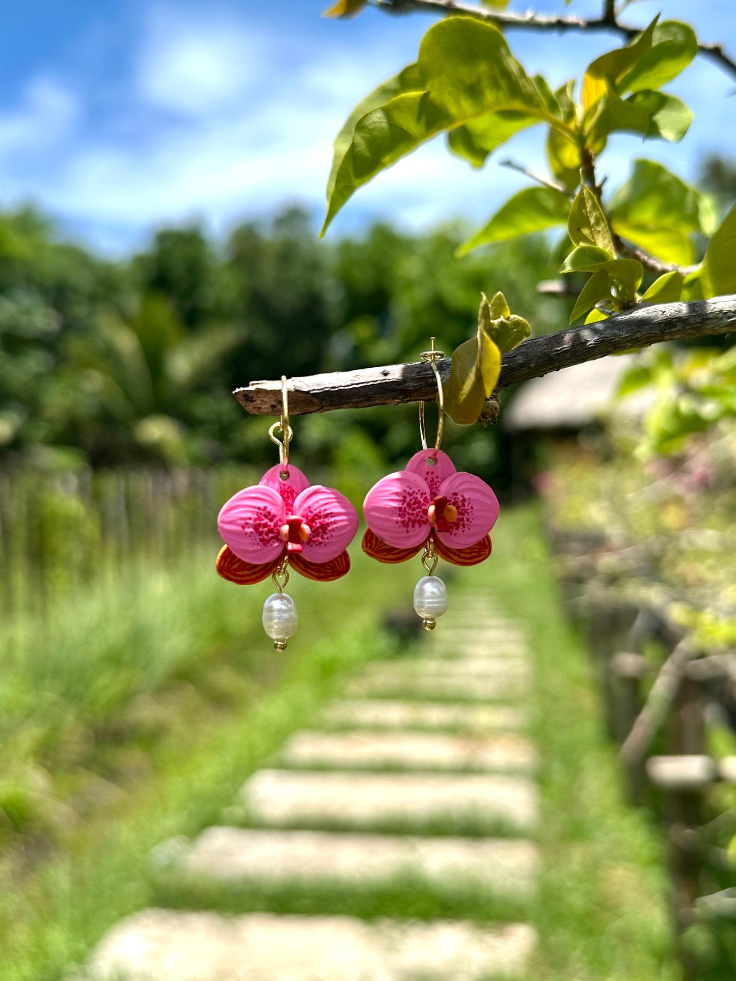 Waling-waling / Vanda Sanderiana Orchid Dangles (New Version)
