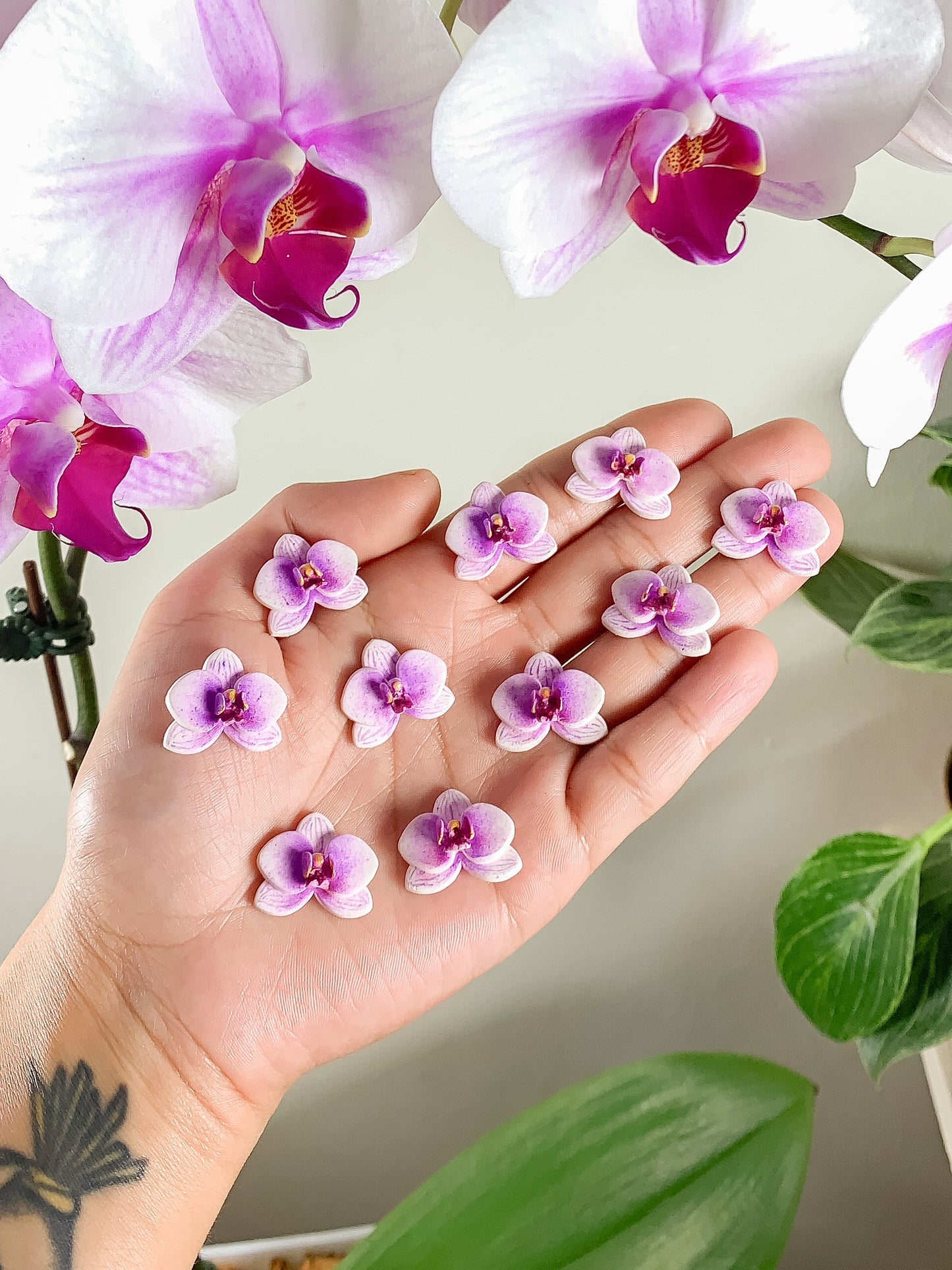 Purple Phalaenopsis Mini Studs