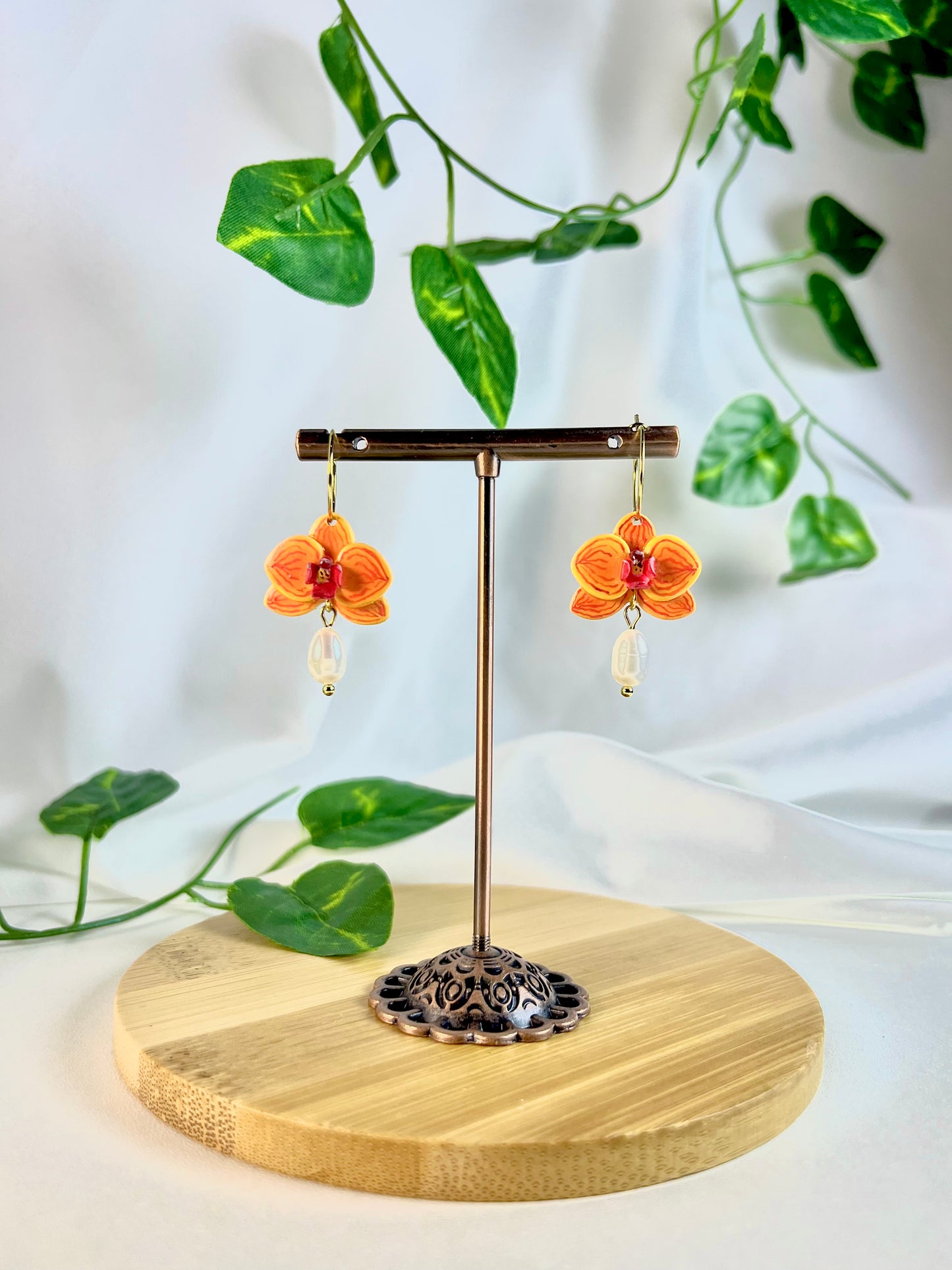 Asian Sun Phalaenopsis Dangles (pre-order)