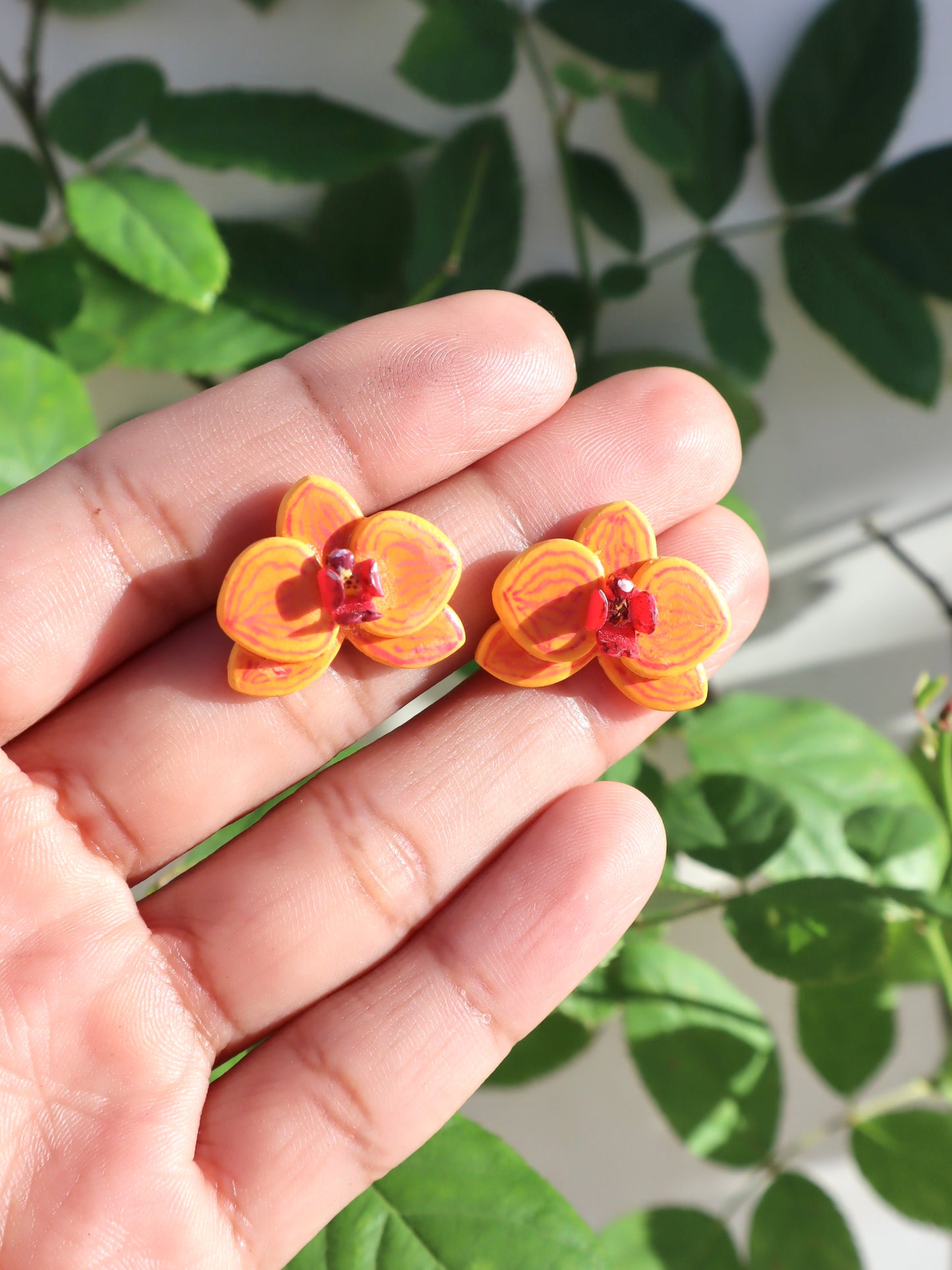 Asian Sun Phalaenopsis Mini Studs