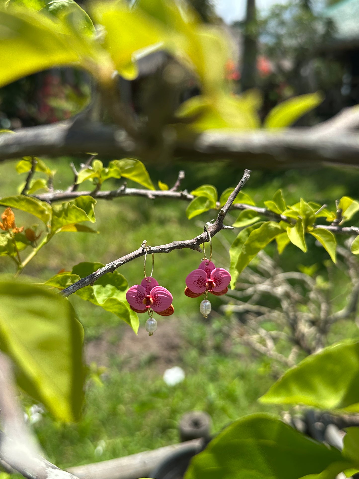 Waling-waling / Vanda Sanderiana Orchid Dangles (New Version)